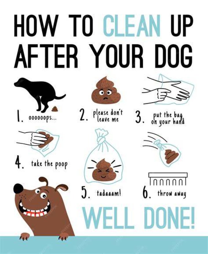 Why is it important to clean up after your dog