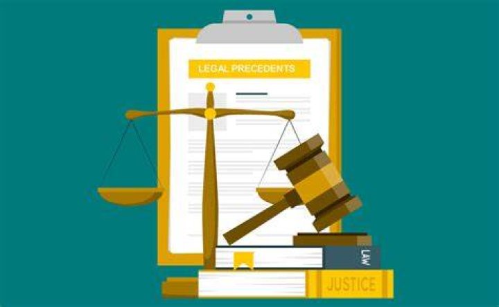Why is legal precedent important to the courts