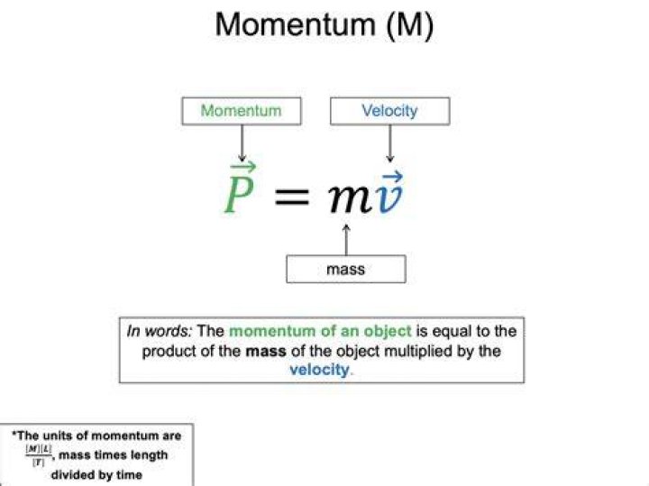 Why is momentum important in physics