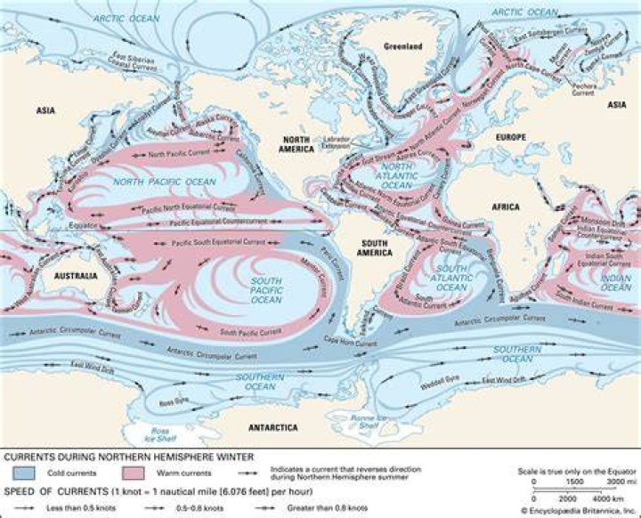 Why is the Peru Current A cold current