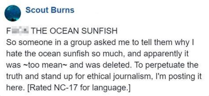 Why is the sunfish useless