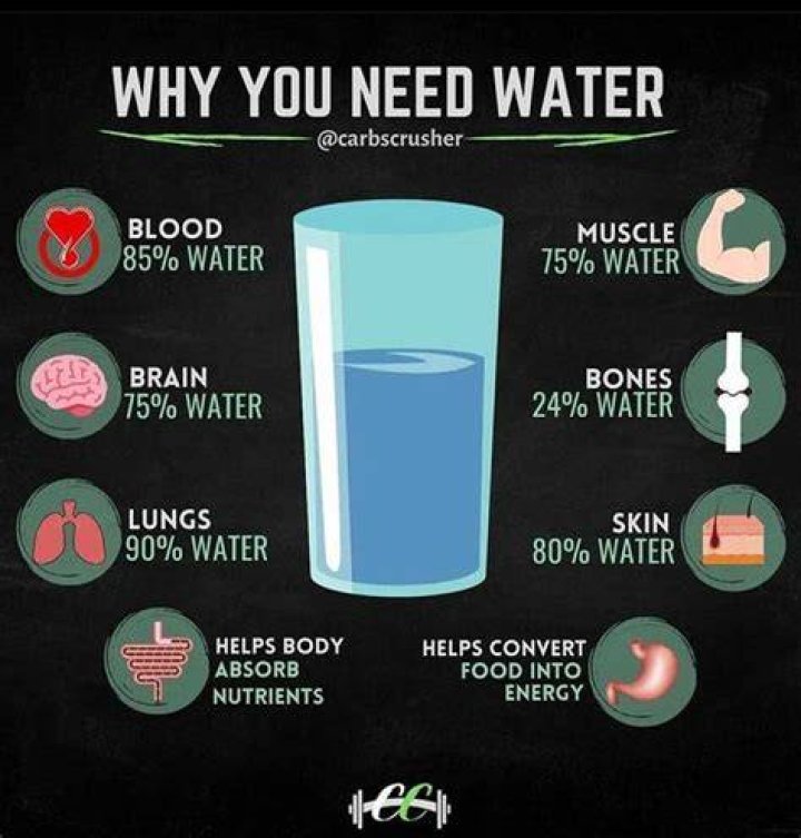 Why is water important for rabbits
