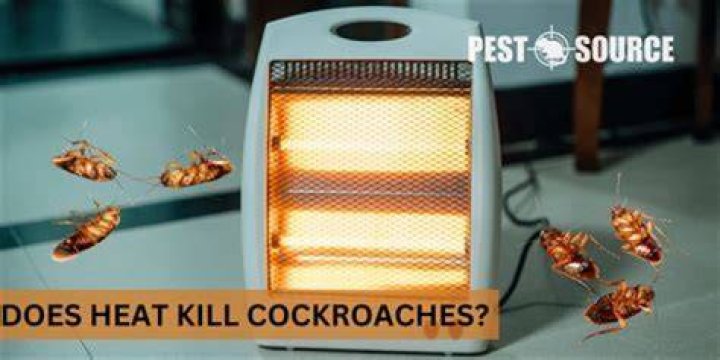 Will Heat kill roaches