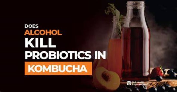 Will Kombucha kill me
