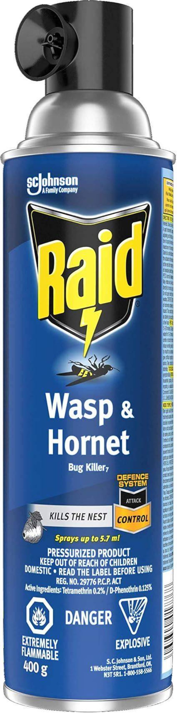 Will raid kill wasps