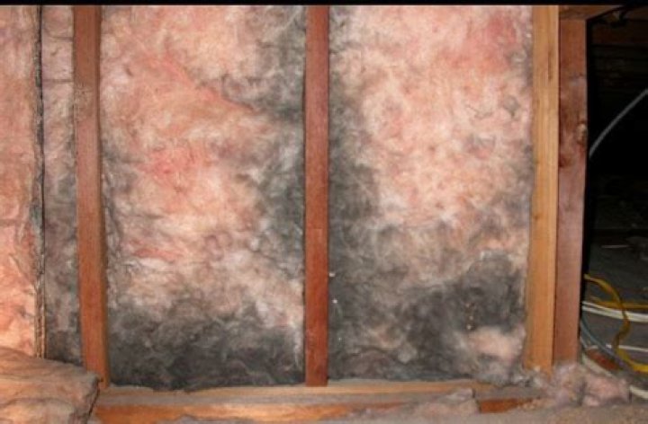 Will wet insulation mold